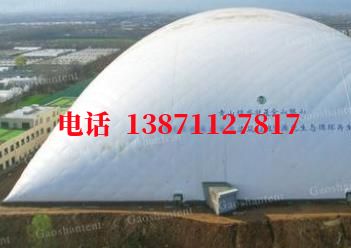 门柱气膜棚卷帘门,电动门